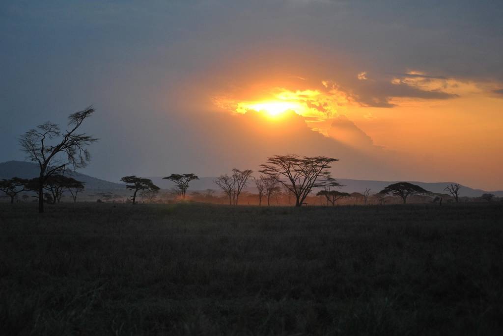 Safari au Serengeti : préparez votre voyage de rêve